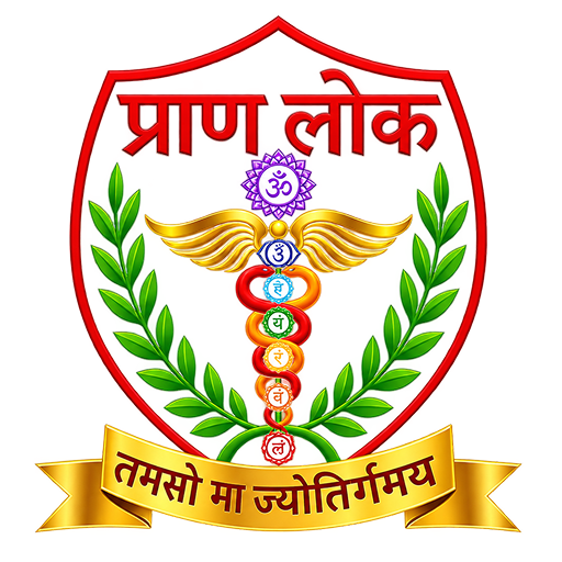 PranLok App Icon
